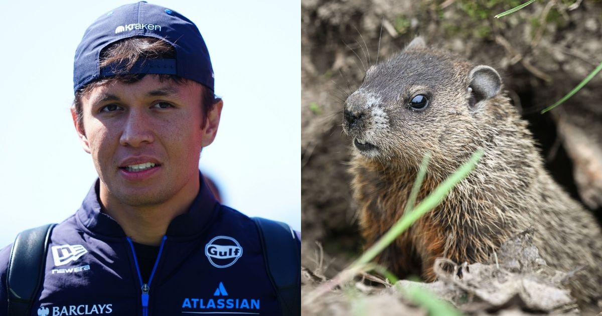 F1: Albon atropela marmota no Canadá, bate no muro e abandona sprint