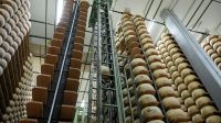 Queijo ralado se torna um dos mercados mais disputados da cadeia láctea