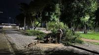 Chuvas provocam deslizamentos e deixam desabrigados em João Pessoa (PB)