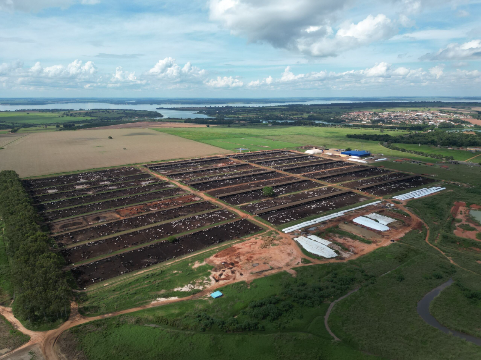 Confinamento da MFG na região de Sabino, no interior de São Paulo • Netto Mello / Divulgação