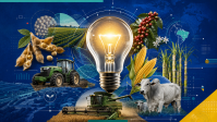 Inovação do agro brasileiro tem baixa percepção, diz pesquisa Marca Brasil