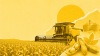 Conab eleva safra de grãos para 358 milhões de toneladas na safra 2025/26