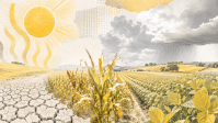 El Niño acende alerta aos investidores com exposição ao agro