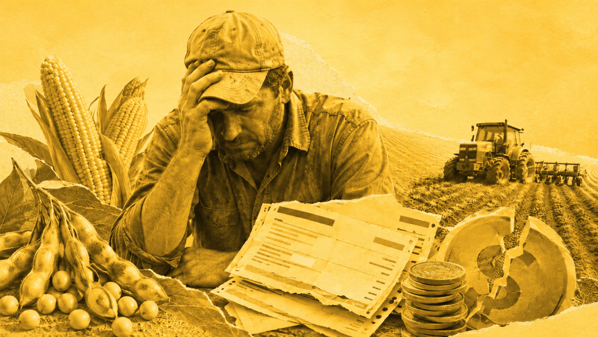 Agrogalaxy adia novamente divulgação de demonstrações financeiras