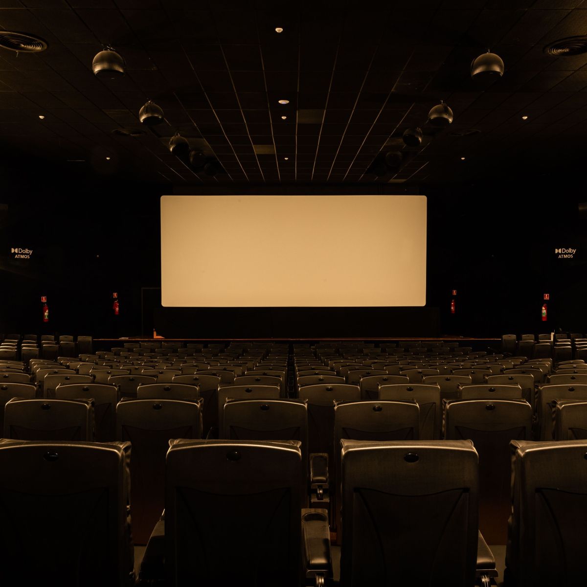 Como a neurociência explica a experiência sonora de uma sala de cinema