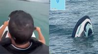 Debilitada e com hipotermia: como mulher que ficou 42h no mar foi resgatada