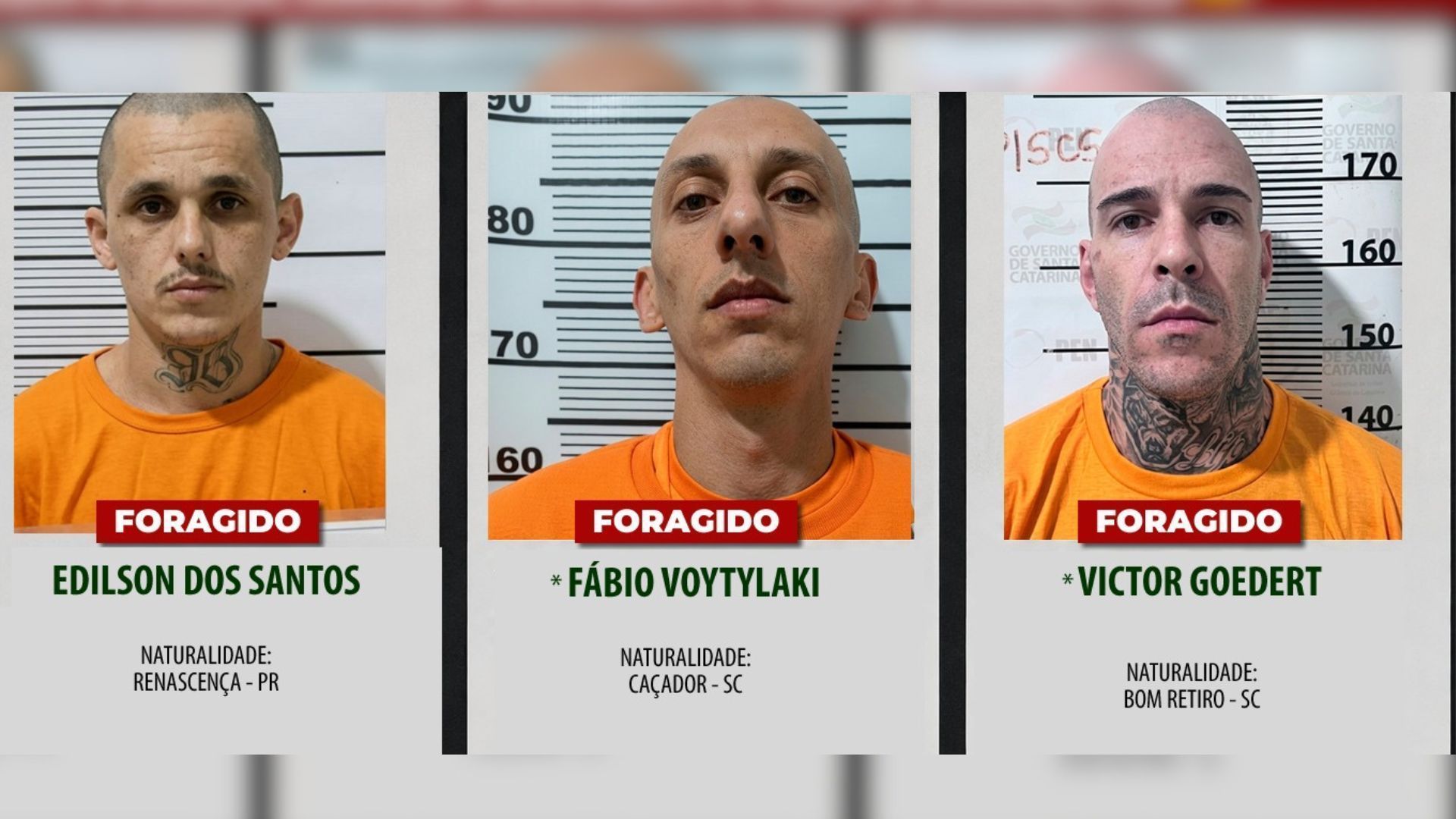 FORAGIDOS ERRO NOME PRESÍDIO SC
