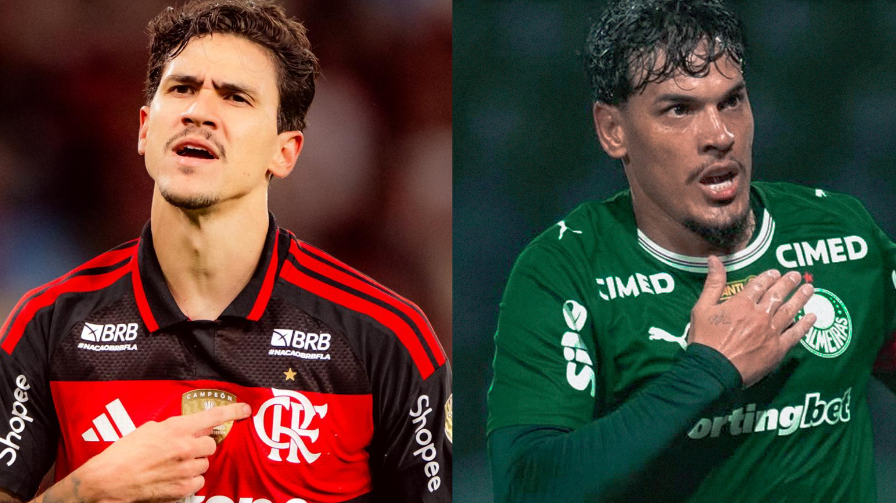 Flamengo e Palmeiras se enfrentam no Brasileirão