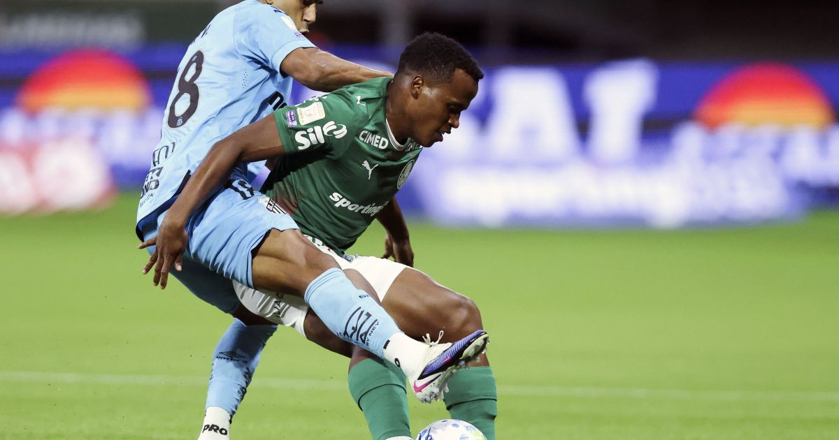 Cuca elogia gramado do Allianz Parque: "É muito bom"