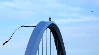 Homem escala ponte de 12 metros em Washington em protesto contra guerra