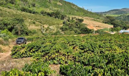 LAvoura e café na Serra da Mantiqueira