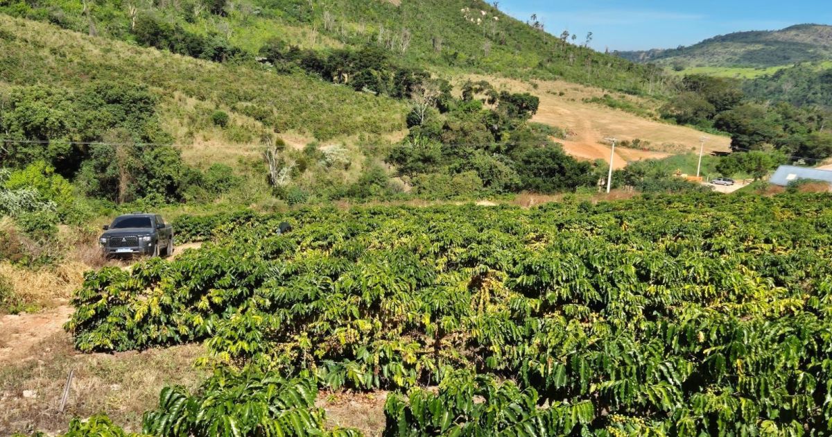 Productos biodefensivos tienen variación de precio de hasta 77% en Brasil Productos biodefensivos tienen variación de precio de hasta 77% en Brasil