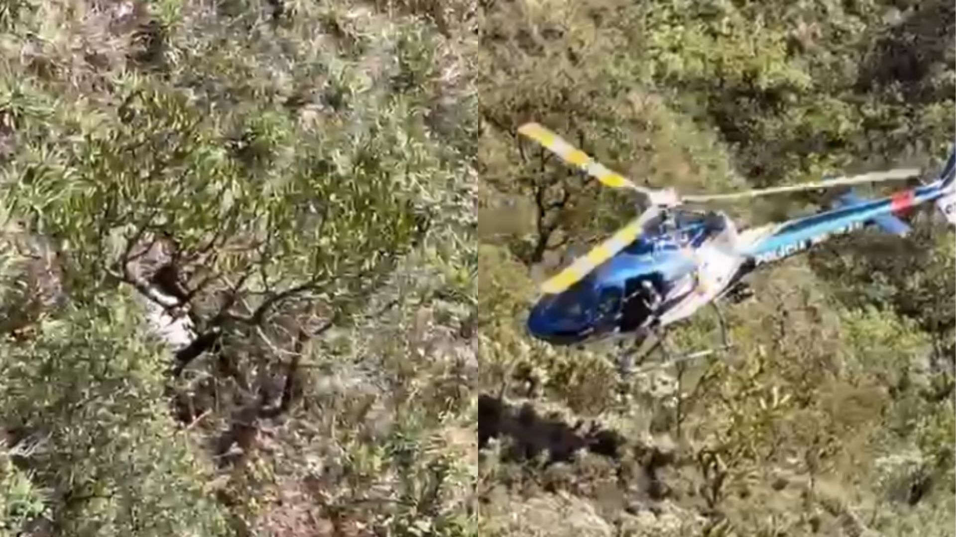 Mulher jogada de penhasco em MG veja o que pode explicar ela estar viva