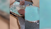 Cliente tenta dar golpe em pizzaria e recebe "pizza de gesso"; entenda