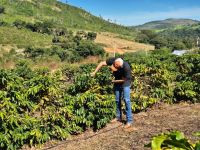 Crédito rural vira ferramenta de expansão de terras para produtores