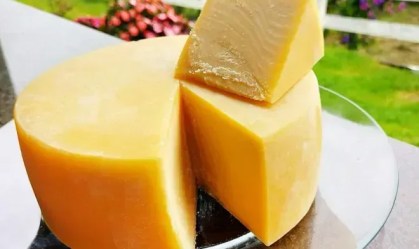 Em sua 8ª edição, o Festival do Queijo Artesanal de Minas celebra a valorização do setor desde o tradicional Serro ao estreante Vale do Suaçuí