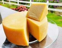Maior festival de queijo artesanal de Minas reúne 13 regiões em BH
