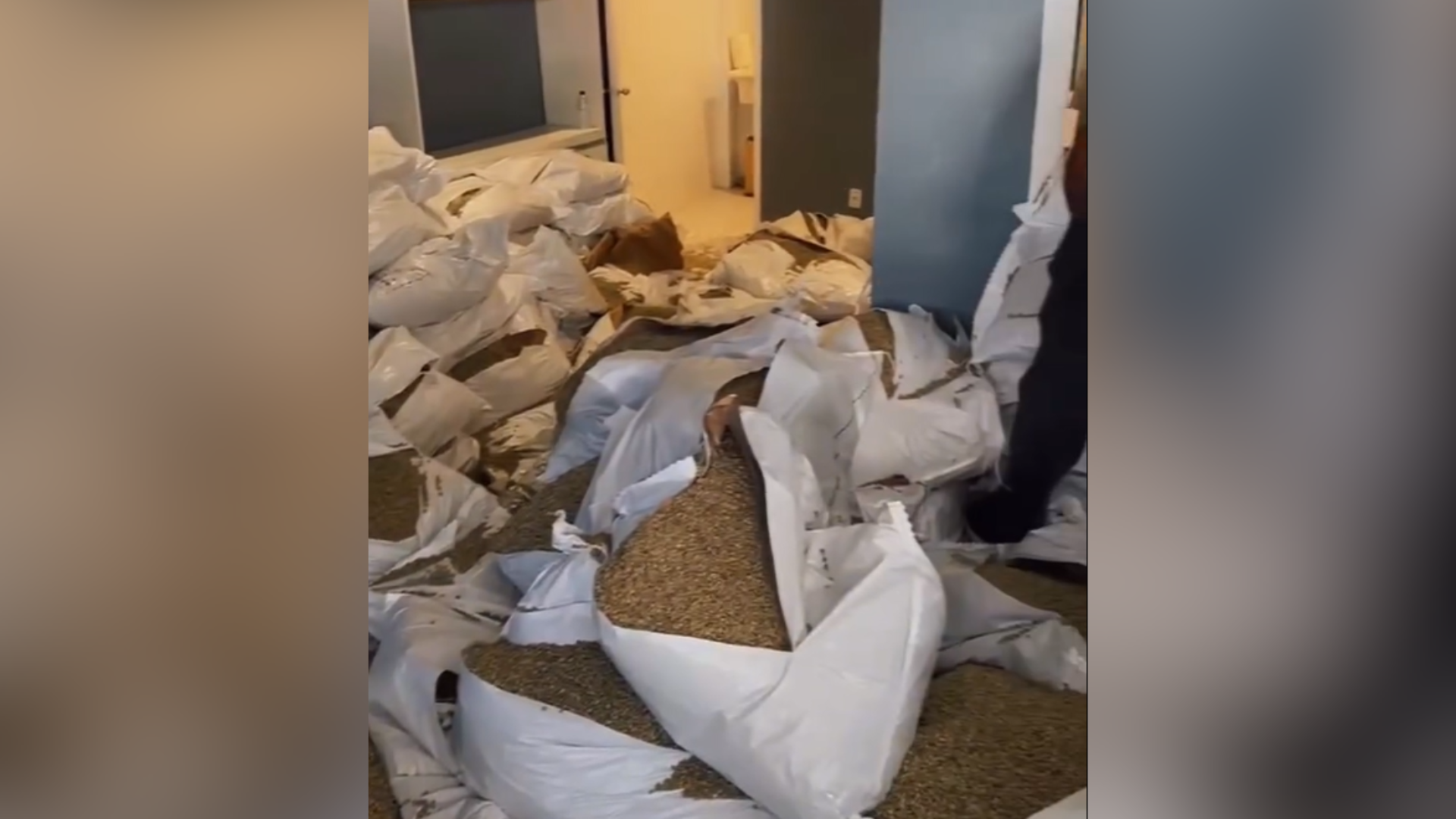 Foram apreendidos 181 quilos de cocaína que seriam enviados a Dubai pelo Porto de Santos • Redes sociais/@delegadonico