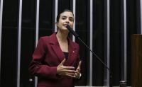 Relatora quer levar PL da Misoginia ao plenário da Câmara antes do recesso