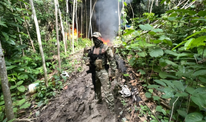 A maior apreensão ocorreu em território peruano, às margens do rio Javari, onde militares e agentes antidrogas localizaram aproximadamente 14 toneladas de maconha do tipo “skunk”