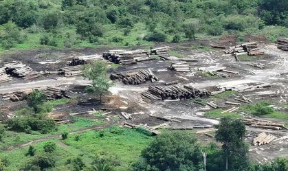 DEVASTAÇÃO AMAZÔNIA