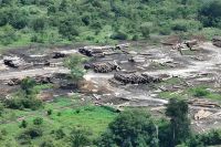 Réu é condenado em R$ 84 milhões por devastação na Amazônia