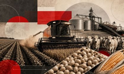 agronegócio - colheitadeira - soja