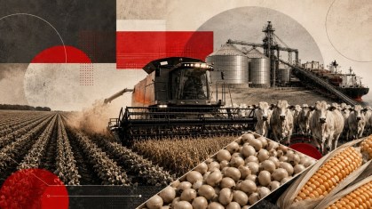 agronegócio - colheitadeira - soja