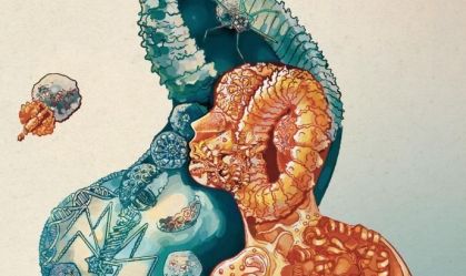 bacteria