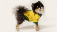 Em clima de Copa do Mundo: veja os nomes de jogadores mais usados em pets