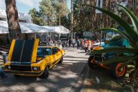 Carros clássicos movimentam mais de R$ 32 bilhões por ano no Brasil