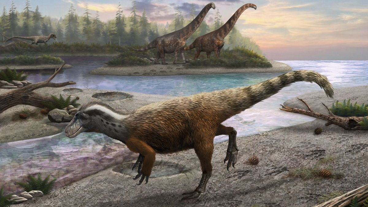 Restos fossilizados que pertenciam a uma população misteriosa de hominídeos extintos são encontrados na China e revelam a vida de parentes humanos