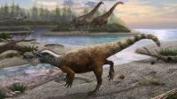 Dinossauro carnívoro andava a 1 km/h na região da China; entenda