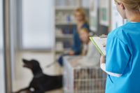Vítima de injeção veterinária pede indenização de R$ 52 mil