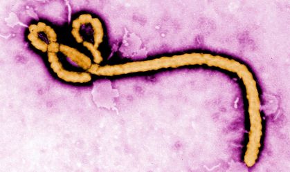 Vírus do Ebola