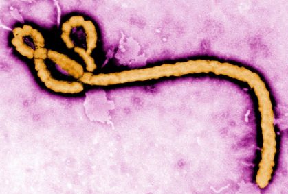Quênia avança com centro de quarentena para Ebola em parceria com EUA