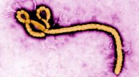 Paciente com suspeita de Ebola é internado em SP