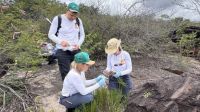 Expedição na Caatinga busca por microrganismos únicos no mundo