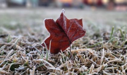 Imagem de destaque do post: Sul do Brasil amanhece com geada e temperaturas abaixo de 0°C; veja