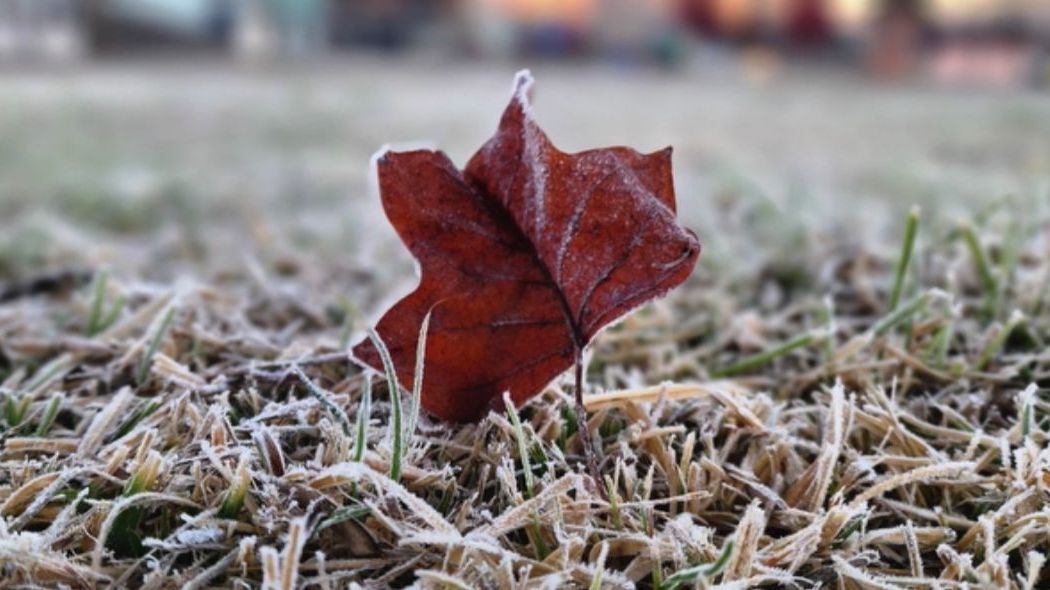 Geada no Sul: Temperaturas Negativas Cobrem SC de Gelo