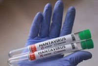 Reino Unido afirma que terceiro britânico apresenta suspeita de hantavírus