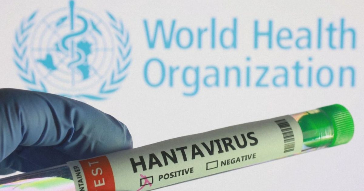 Mudanças climáticas podem ter impulsionado hantavírus na Argentina
