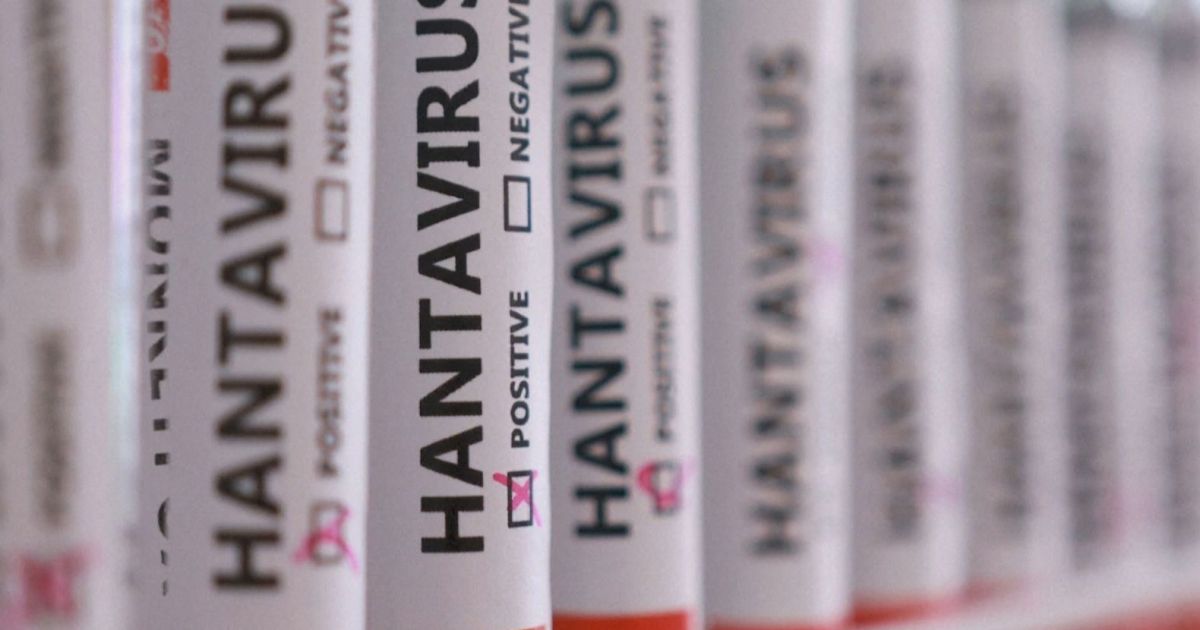 Tudo o que você precisa saber sobre a crise do hantavírus