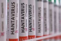 Tudo o que você precisa saber sobre a crise do hantavírus