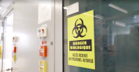 Cruzeiro com hantavirus: Suíça confirma cepa rara ligada ao surto