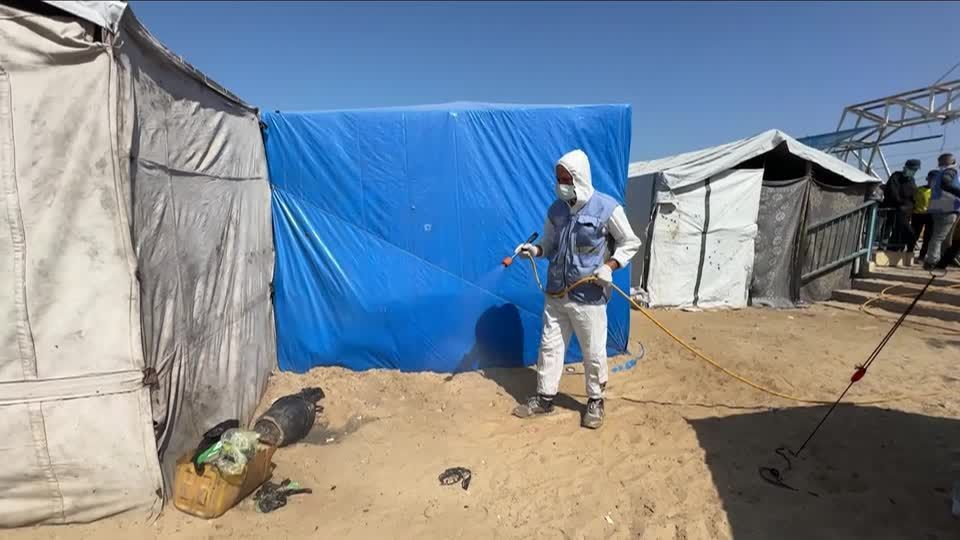 Operação contra infecção de ratos em campos de refugiados na Faixa de Gaza