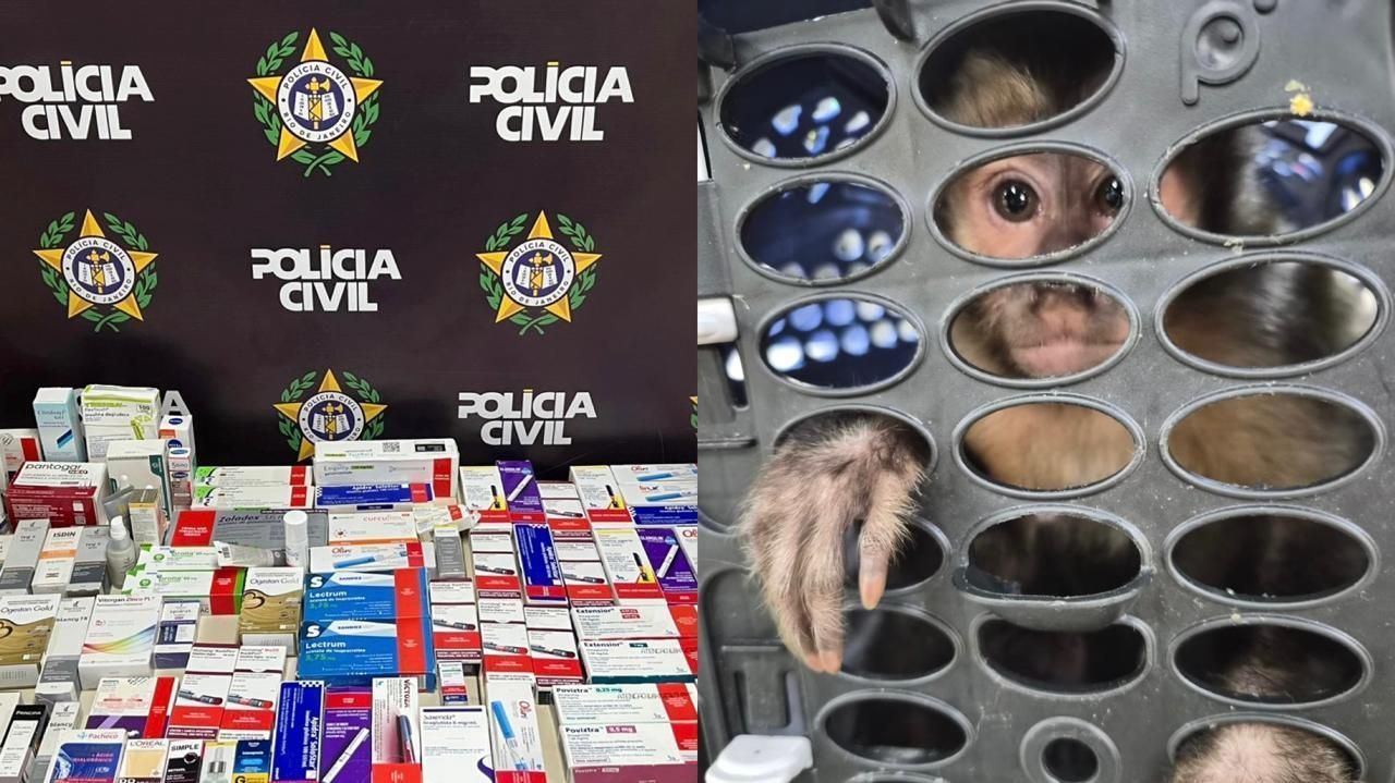 montagem-canetas-macaco