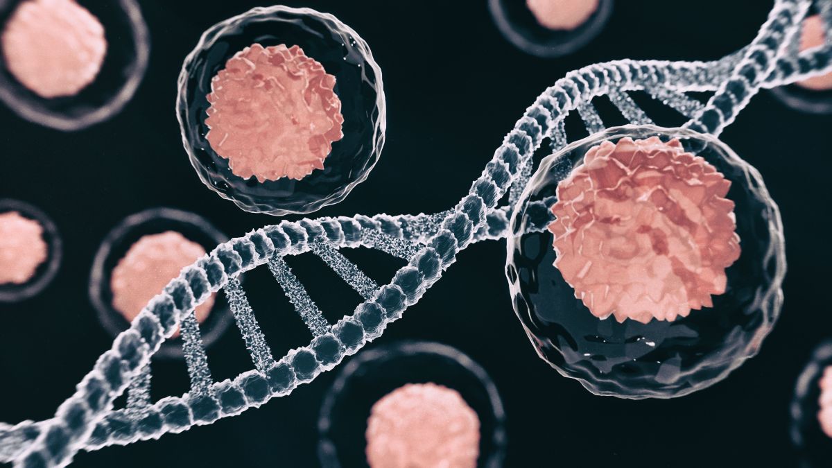 Câncer de endométrio: perfil molecular ajuda a definir o tratamento