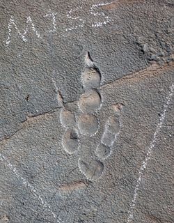 Pegada de terópodes bem preservadas encontradas em Xuanhua, na província de Hebei, no norte da China • Reprodução/Global Times/Xing Lida