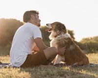 O que acontece no cérebro na relação tutor-cachorro? Ciência estuda